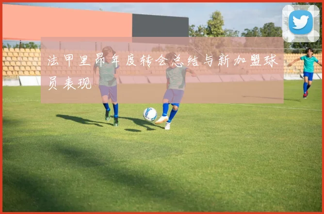 法甲里昂年度转会总结与新加盟球员表现